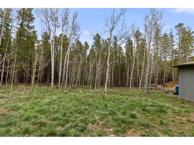 307 Dudes Dr, Rollinsville, CO 80474