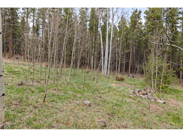 307 Dudes Dr, Rollinsville, CO 80474