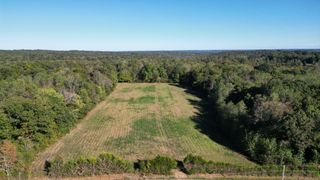 10 Hayes Ridge Rd, Indian Mound, TN 37079
