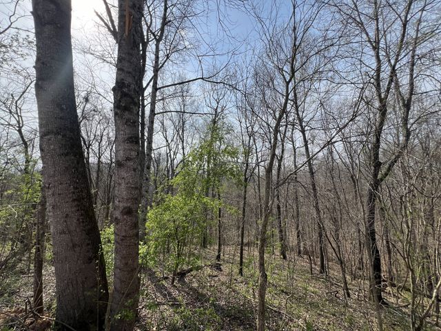 760 Rose Hill Rd, Pulaski, TN 38478