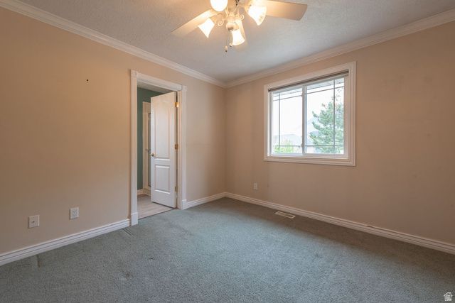 875 E 1300 N, Mapleton, UT 84664