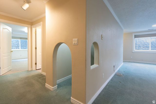 875 E 1300 N, Mapleton, UT 84664