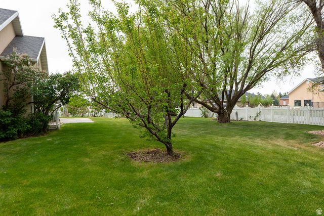 875 E 1300 N, Mapleton, UT 84664