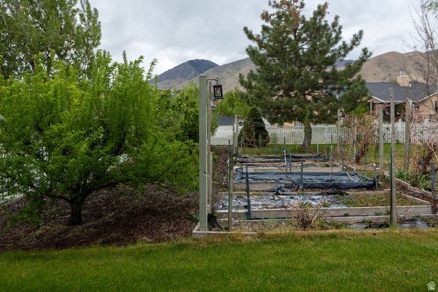 875 E 1300 N, Mapleton, UT 84664