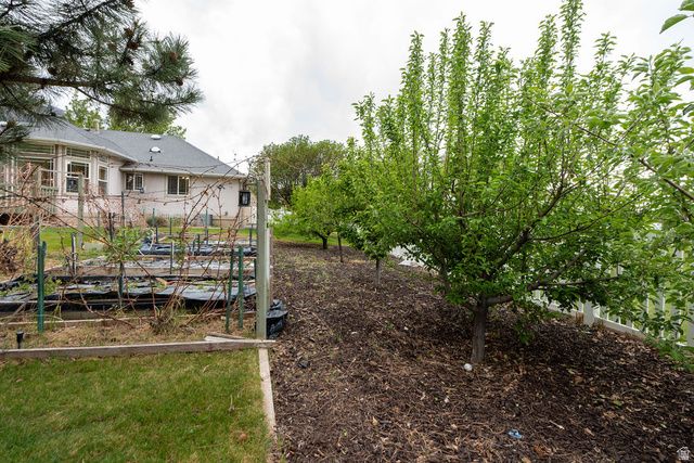 875 E 1300 N, Mapleton, UT 84664