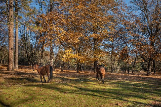 10095 Frenchtown Dobbins Rd, Oregon House, CA 95962