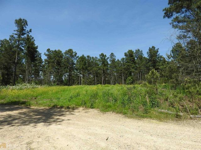 0 Griffin Road 5007-PARCEL 4, Cartersville, GA 30120