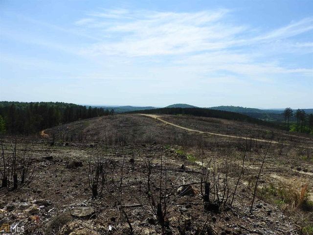 0 Griffin Road 5007-PARCEL 4, Cartersville, GA 30120