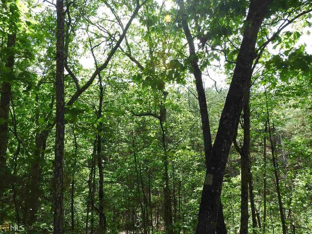 0 Griffin Road 5007-PARCEL 4, Cartersville, GA 30120