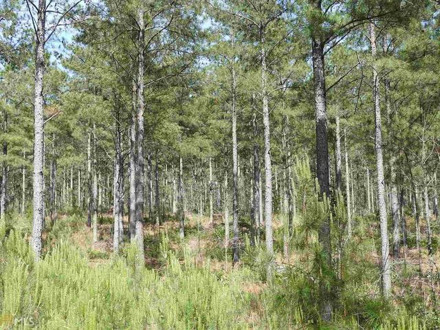 0 Griffin Road 5007-PARCEL 4, Cartersville, GA 30120