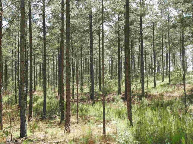 0 Griffin Road 5007-PARCEL 4, Cartersville, GA 30120