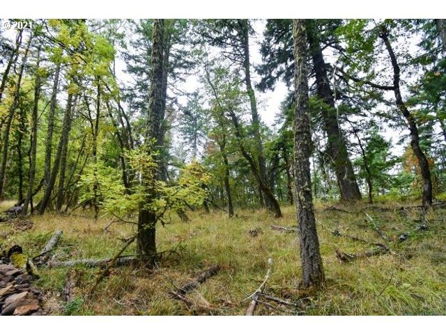 32475 FOX HOLLOW Rd, Eugene, OR 97405