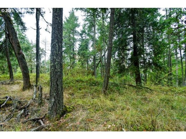 32475 FOX HOLLOW Rd, Eugene, OR 97405