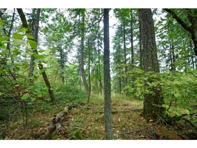32475 FOX HOLLOW Rd, Eugene, OR 97405