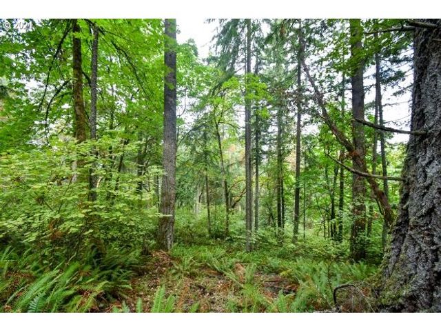 32475 FOX HOLLOW Rd, Eugene, OR 97405