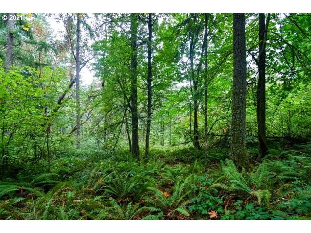 32475 FOX HOLLOW Rd, Eugene, OR 97405