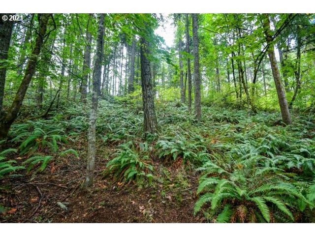 32475 FOX HOLLOW Rd, Eugene, OR 97405