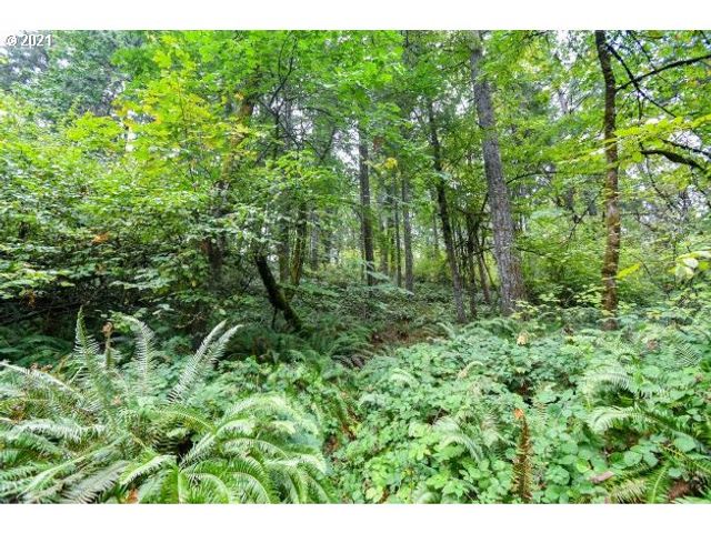 32475 FOX HOLLOW Rd, Eugene, OR 97405