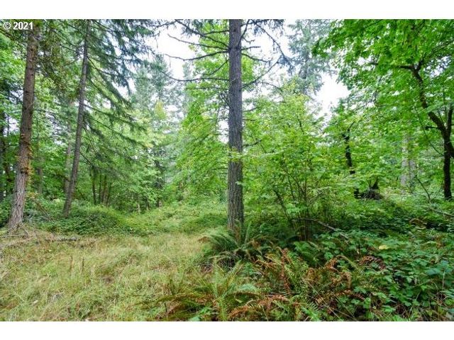 32475 FOX HOLLOW Rd, Eugene, OR 97405