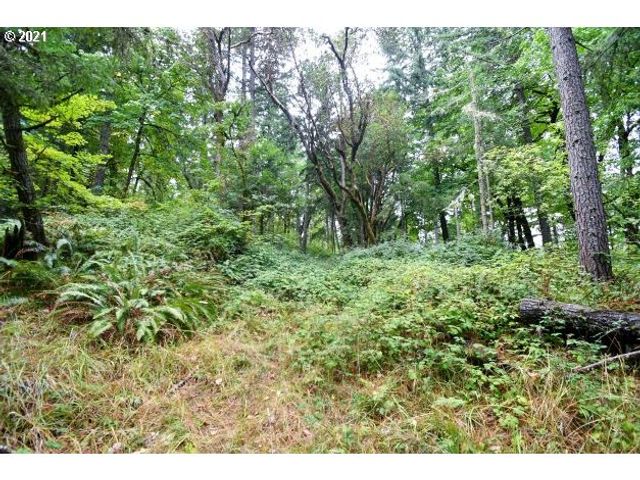 32475 FOX HOLLOW Rd, Eugene, OR 97405