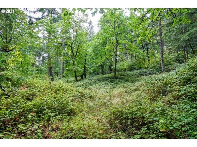 32475 FOX HOLLOW Rd, Eugene, OR 97405