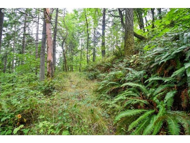 32475 FOX HOLLOW Rd, Eugene, OR 97405