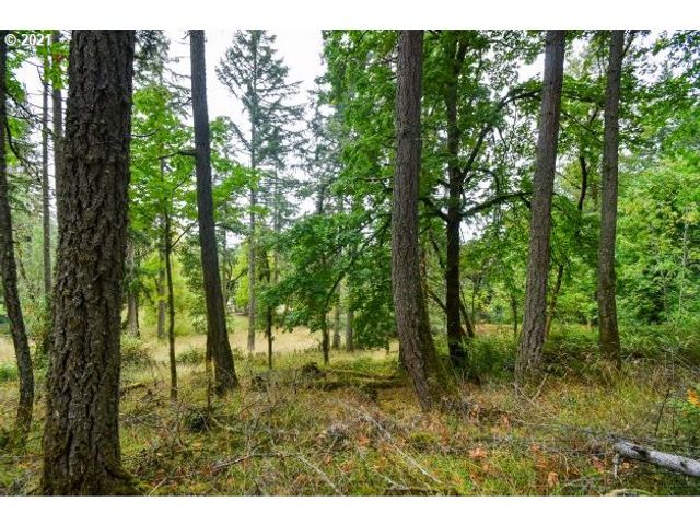 32475 FOX HOLLOW Rd, Eugene, OR 97405
