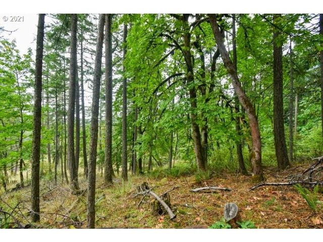 32475 FOX HOLLOW Rd, Eugene, OR 97405