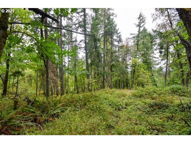 32475 FOX HOLLOW Rd, Eugene, OR 97405
