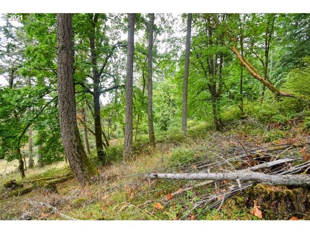 32475 FOX HOLLOW Rd, Eugene, OR 97405