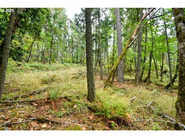 32475 FOX HOLLOW Rd, Eugene, OR 97405