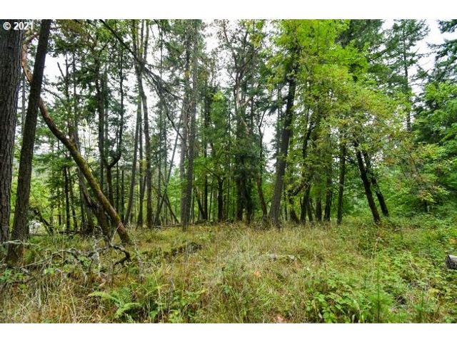 32475 FOX HOLLOW Rd, Eugene, OR 97405