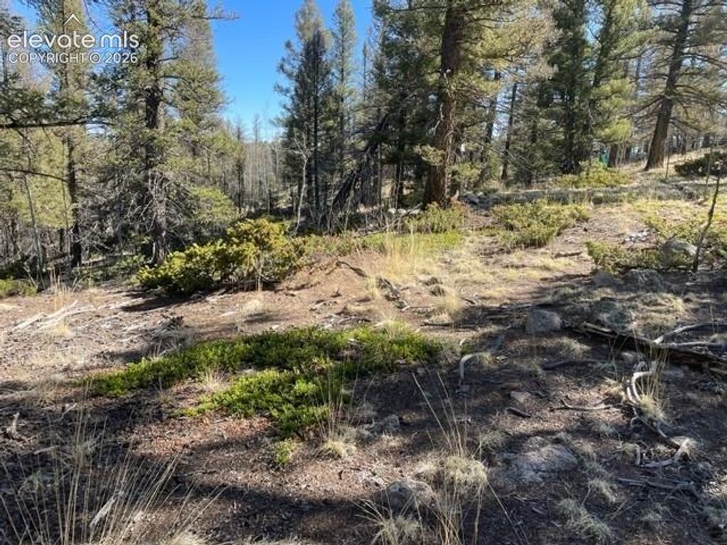 228 Alpine Drive, Florissant, CO 80816 — exterior