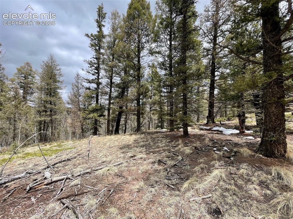228 Alpine Drive, Florissant, CO 80816 — photo 2
