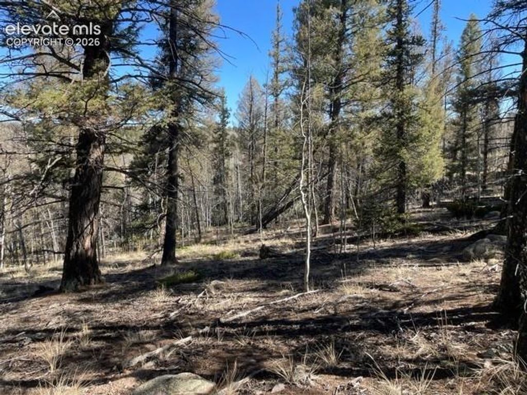 228 Alpine Drive, Florissant, CO 80816 — photo 3