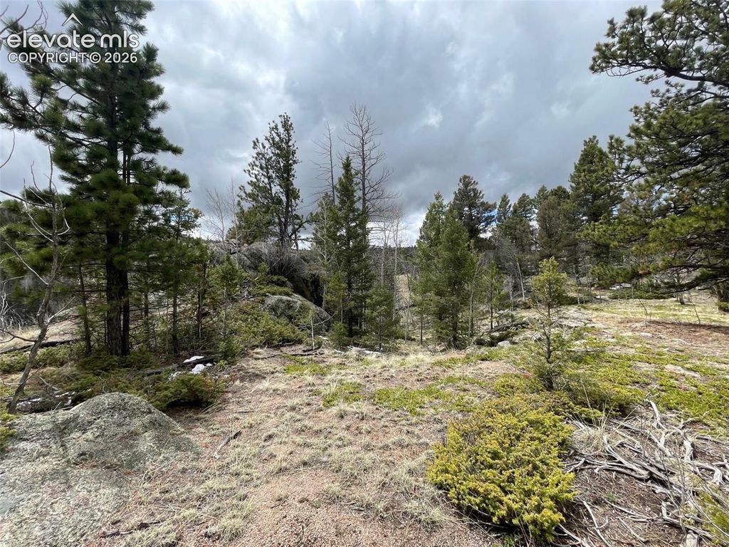 228 Alpine Drive, Florissant, CO 80816 — photo 4