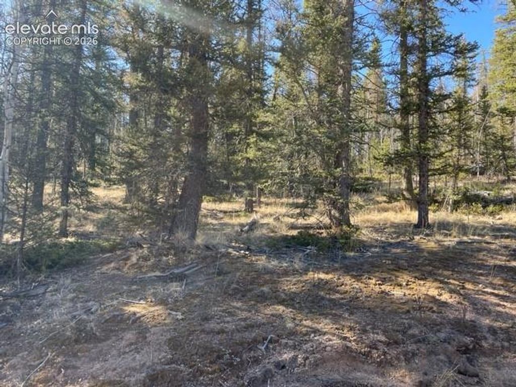 228 Alpine Drive, Florissant, CO 80816 — photo 5