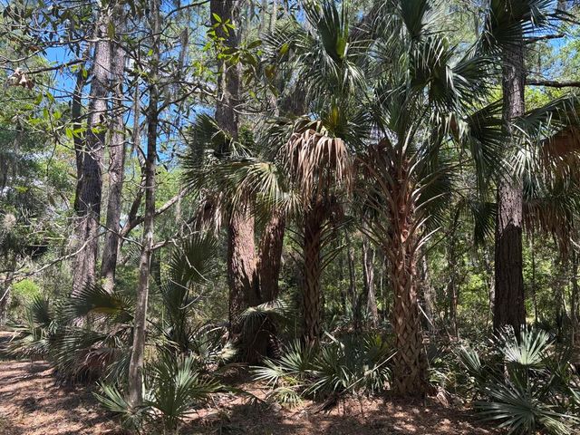 2044 Shell Island, Johns Island, SC 29455