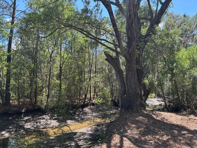 2044 Shell Island, Johns Island, SC 29455