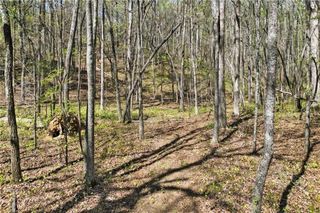 101 Heritage Plantation Drive, Ball Ground, GA 30107