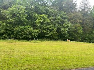 Lot 7 Saddlebrooke Drive, Saddlebrooke, MO 65630