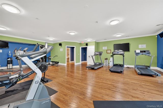 4201 Fred Ill Jr Court, Pearl River, NY 10965