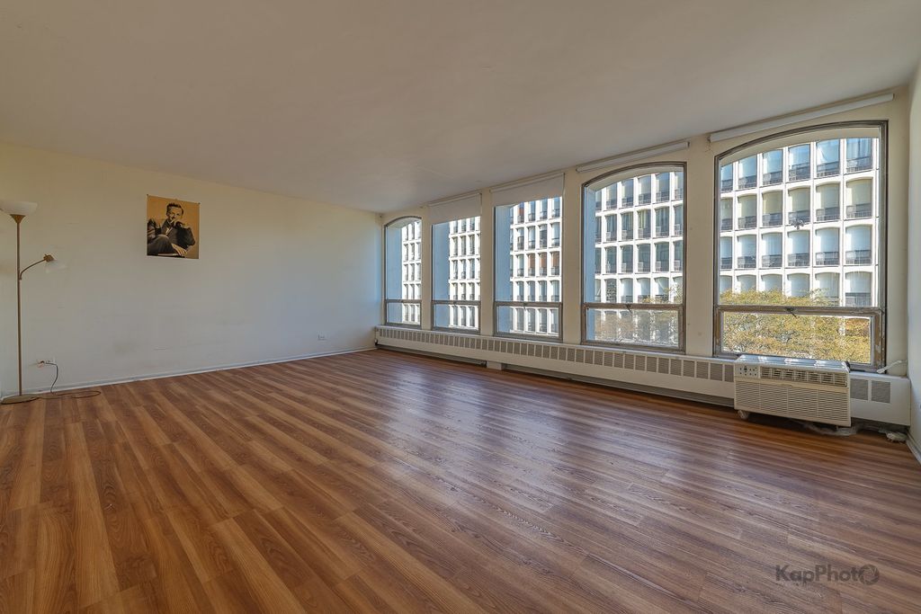 1450 E 55th Street 527S, Chicago, IL 60615 — photo 4
