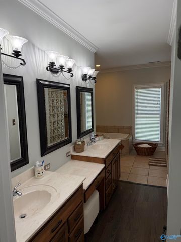 3501 Chula Vista Ridge Drive SW, Decatur, AL 35603