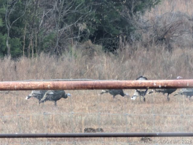 6295 S 481st West Avenue W, Jennings, OK 74038