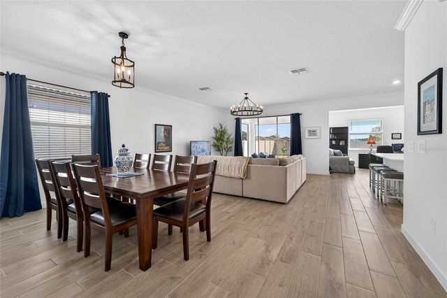 17212 HOLLY WELL AVENUE, Wimauma, FL 33598