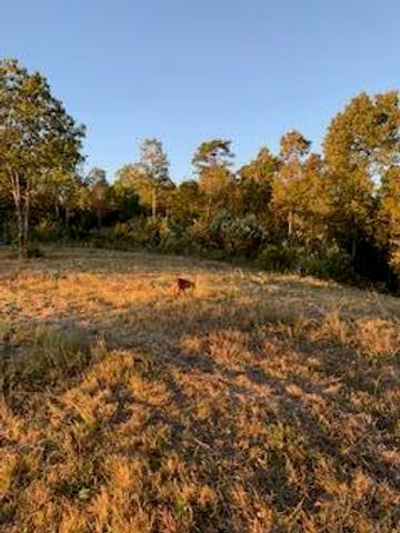 465 Anderson Cemetry Road, Livingston, KY 40445