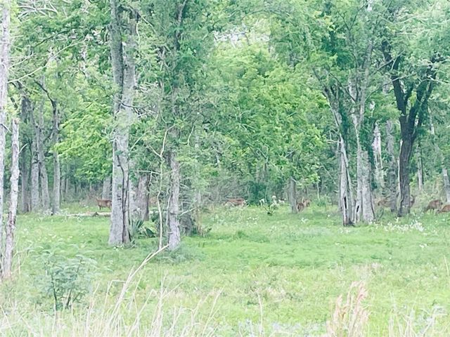 32502 Redfish Trail, Richwood, TX 77531