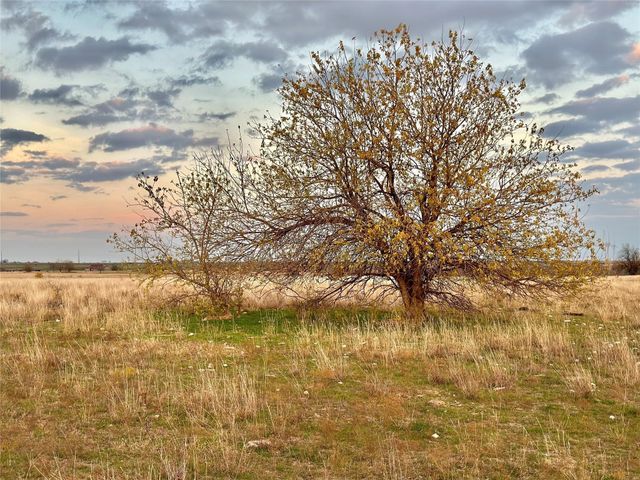 Lot 3 Cr-353, Gainesville, TX 76240