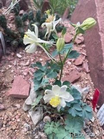 1111 Utica Circle, Boulder, CO 80304